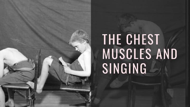 The neglected role of the chest muscles in singing